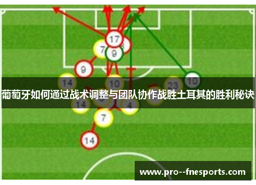 葡萄牙如何通过战术调整与团队协作战胜土耳其的胜利秘诀 葡萄牙如何通过战术调整与团队协作战胜土耳其的胜利秘诀