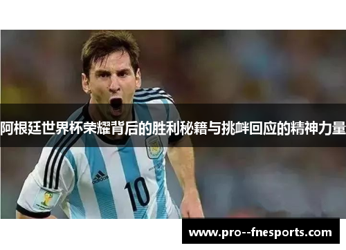 阿根廷世界杯荣耀背后的胜利秘籍与挑衅回应的精神力量 阿根廷世界杯荣耀背后的胜利秘籍与挑衅回应的精神力量